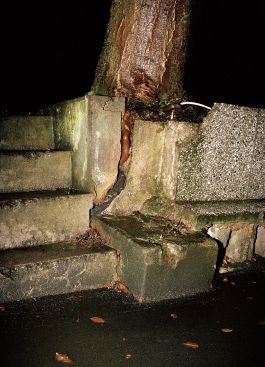  Frederick Vidal – visual research