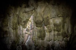  Frederick Vidal – visual research