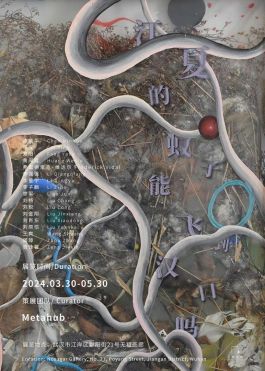 NoSugar Gallery Wuhan, Frederick Vidal Frederick Vidal – visual research