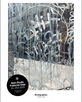  Frederick Vidal – visual research